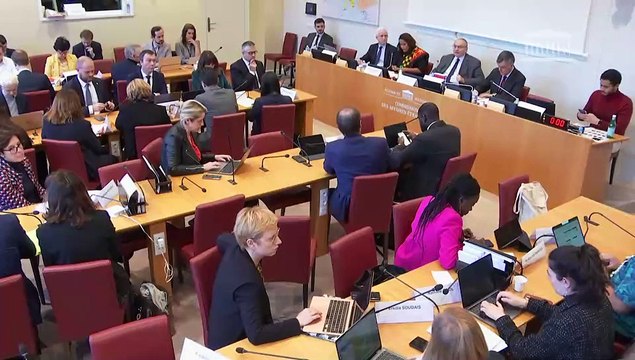 Commission des affaires étrangères : Examen de divers projets de loi - Mercredi 11 janvier 2023