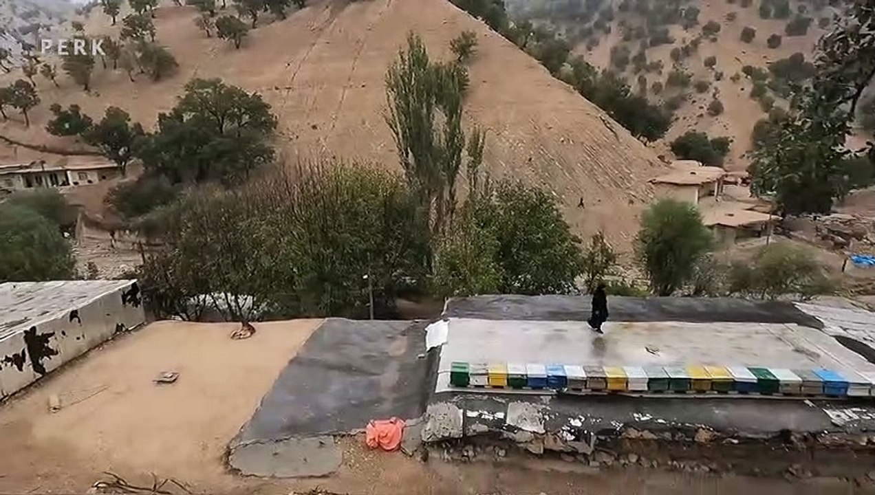 Making Barbecue on a Rainy Fall Day in the Village _ The Village Lifestyle of Iran