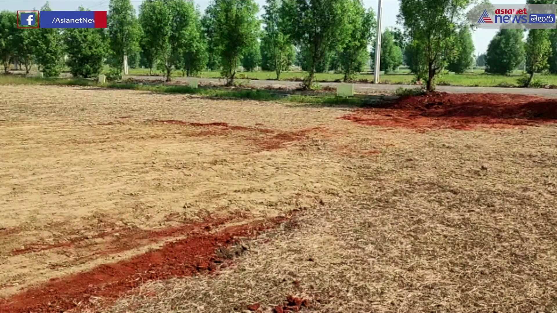 ఏపీలో సంక్రాంతి సందడి... కోడి పందేలకు సై అంటున్న పందెరాయుళ్లు