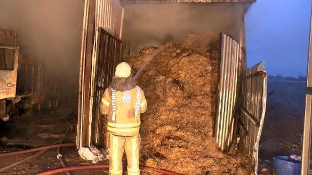 ÇATALCA'DA AHIR YANDI; 7 BÜYÜKBAŞ HAYVAN ÖLDÜ