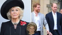 Prince Harry accuses Queen Camilla of being the real villain.