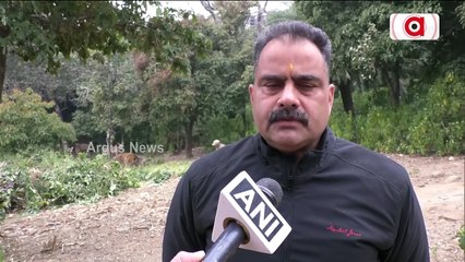Special Arrangement For Deer In J&K's Park To Battle Chilly Winters