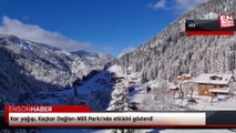 Kar yağışı, Kaçkar Dağları Milli Parkı'nda etkisini gösterdi