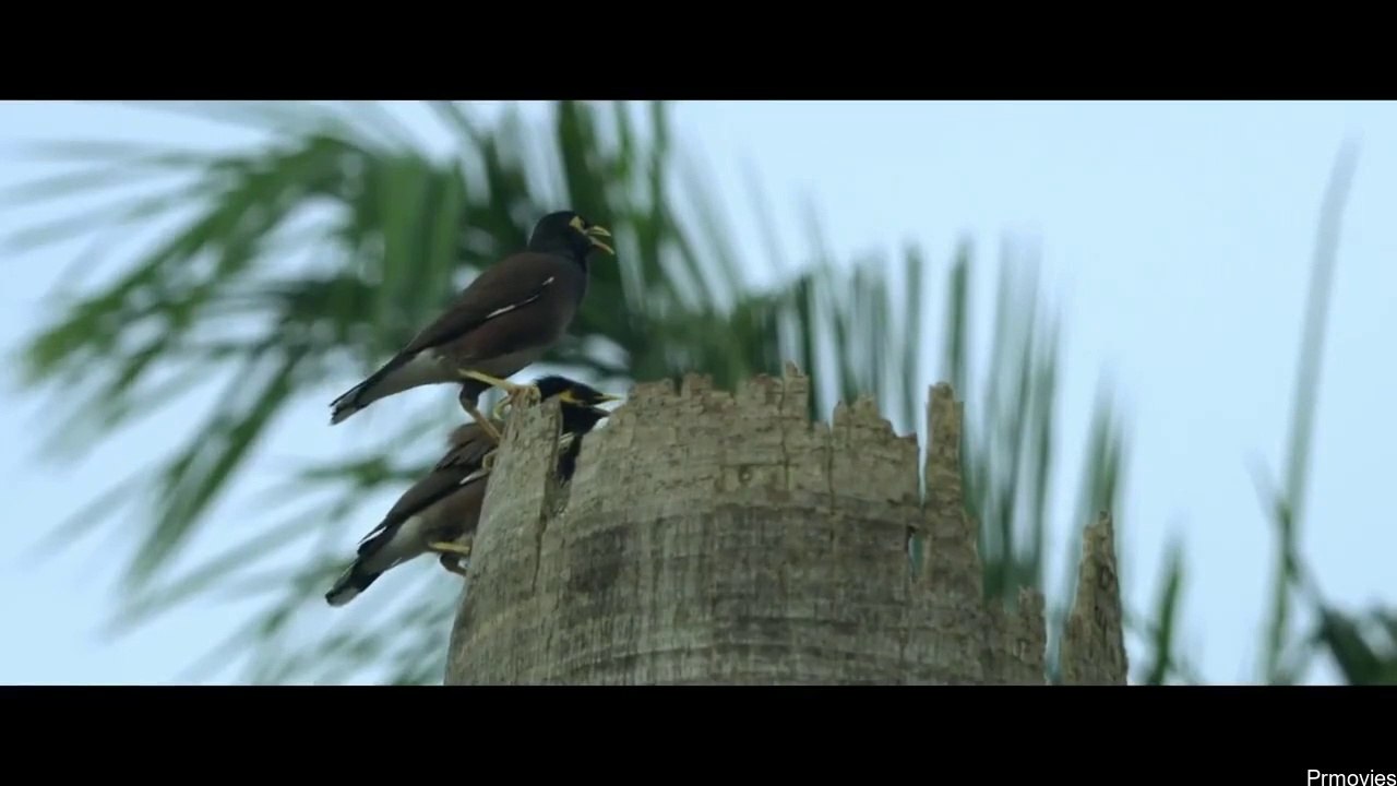 Saudi_Vellakka_Hindi_Dubbed - 3of3