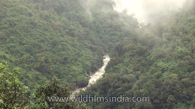 Waterfalls join rivers and flow to the sea _ Meghalaya