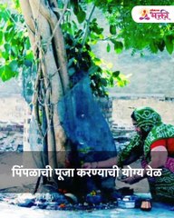 घरात पिंपळाचं झाड उगवलं तर जरूर करा हे काम