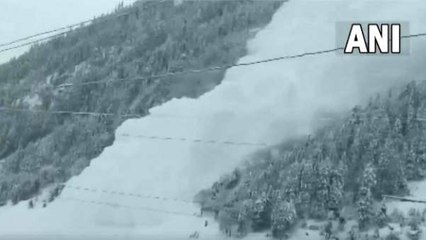 Jammu and Kashmir: बालटाल-जोजिला के पास हुआ भारी हिमस्खलन, Video देखकर सिहर उठेंगे आप