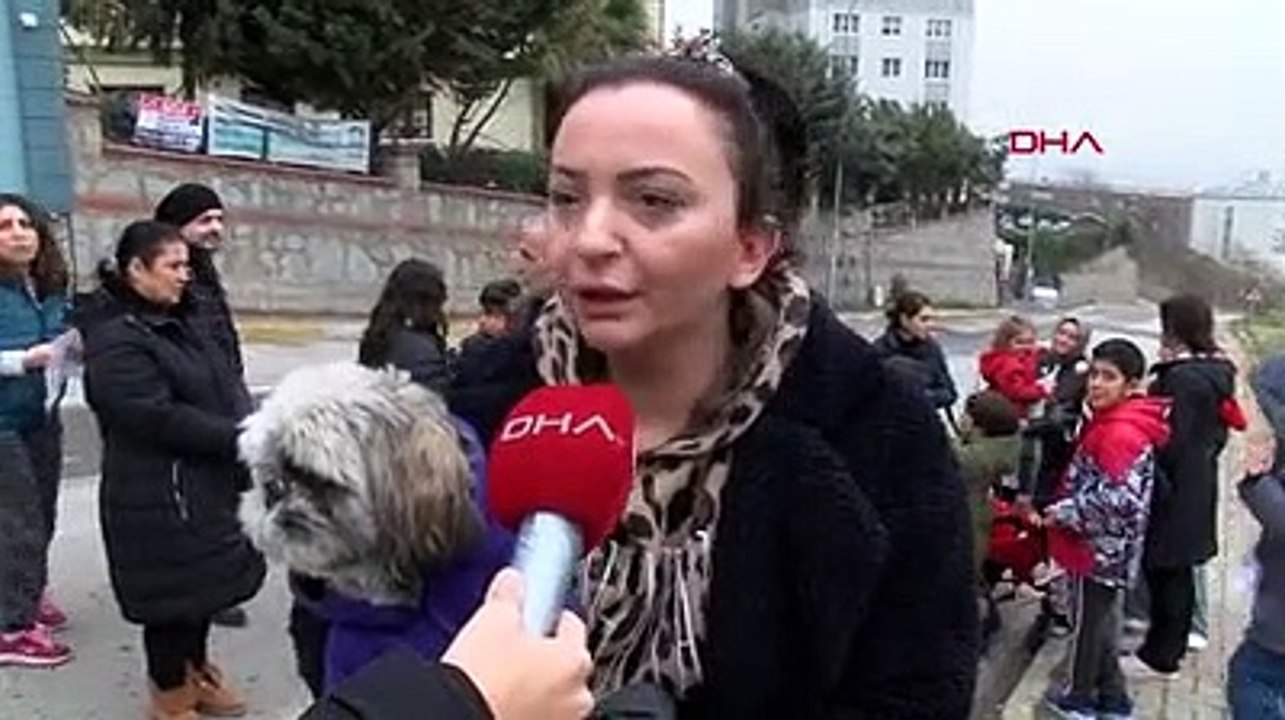 Başıboş köpeklerin saldırdığı çocuk kabusu yaşadı