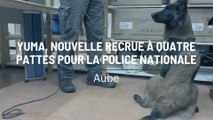 Yuma, nouvelle recrue à quatre pattes pour la police nationale