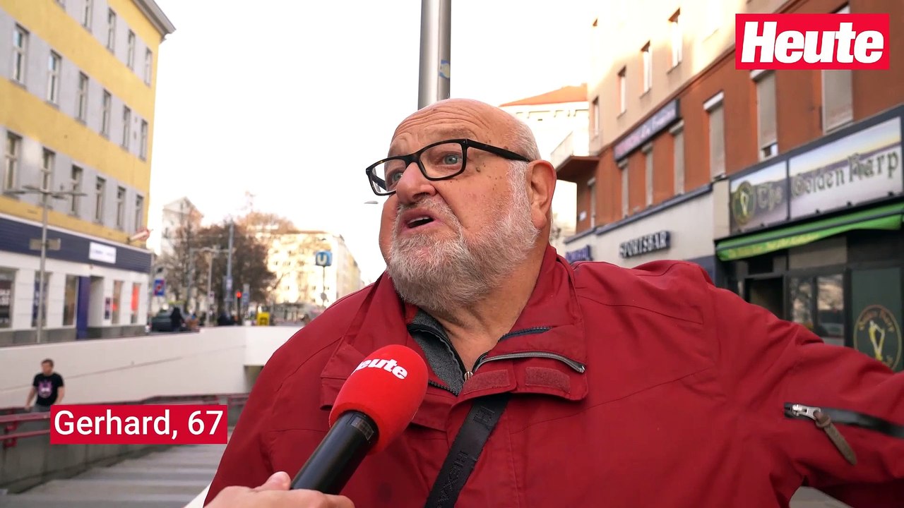 'Ratten der Lüfte' – so denken Wiener über Tauben-Plage