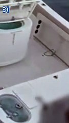 La Policía detiene a tres personas por un presunto robo de una embarcación