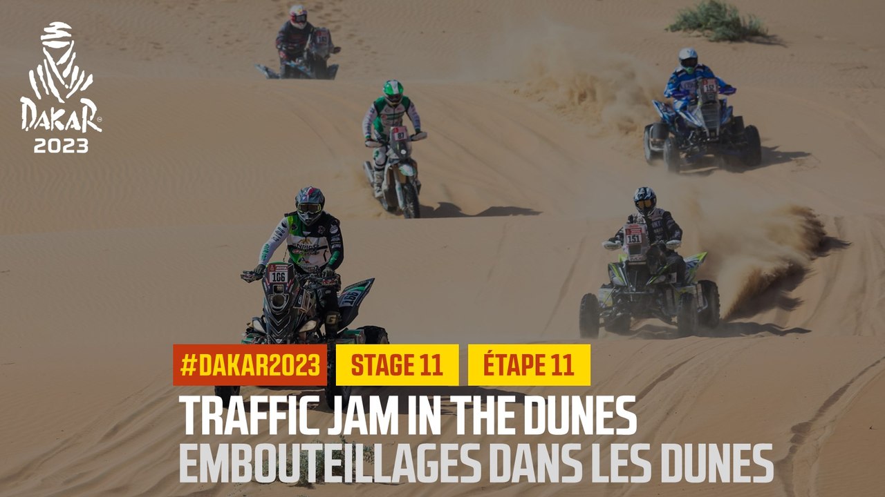 Traffic jam in the dunes / Embouteillage dans l...