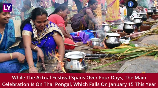 Pongal 2023 Full Calendar: Know Dates Of Bhogi, Thai Pongal; Significance & Celebrations Of The Festival Observed In Tamil Nadu