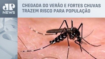 Avanço da dengue no Rio de Janeiro preocupa autoridades