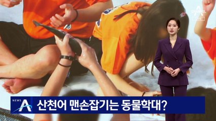 산천어 맨손 잡기는 동물 학대?…지침 만들고도 비공개