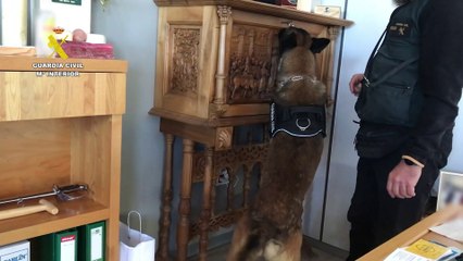 Detenido en Burgos con un arsenal de armas