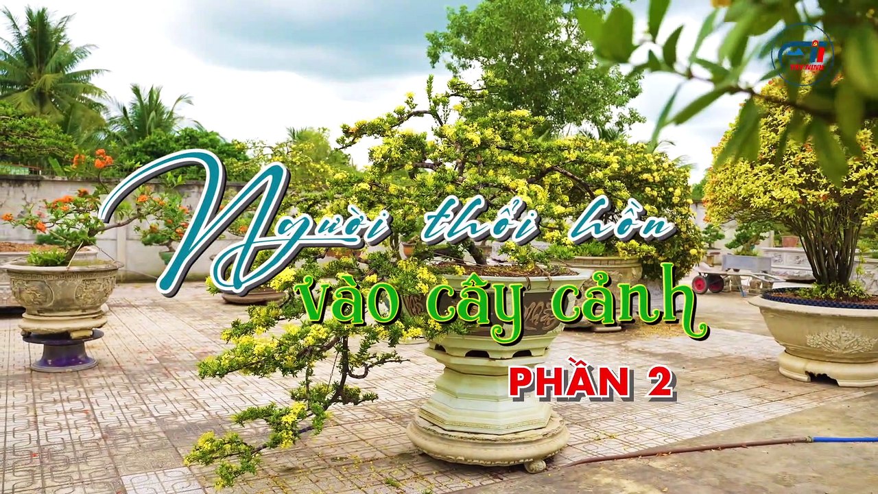 Người thổi hồn vào cây cảnh-Phần 2