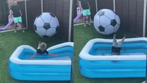 Dad knocks son into pool by kicking a GIANT football his way