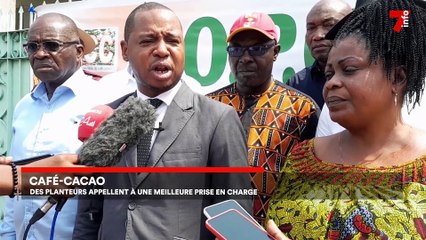 7 minutes du 12 janvier 2023 (édition du 12h)