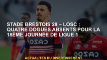 Stade Brestois 29 - LOSC: Quatre chiens absent pour le 18e jour de la Ligue 1
