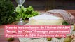 Pour vivre plus longtemps, il faut manger du fromage !