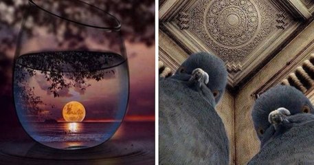 Ces photographies capturées au bon moment sont captivantes