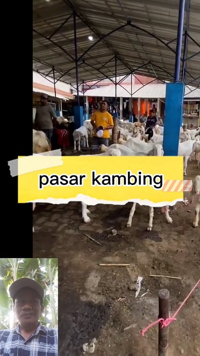 Pasar kambing
