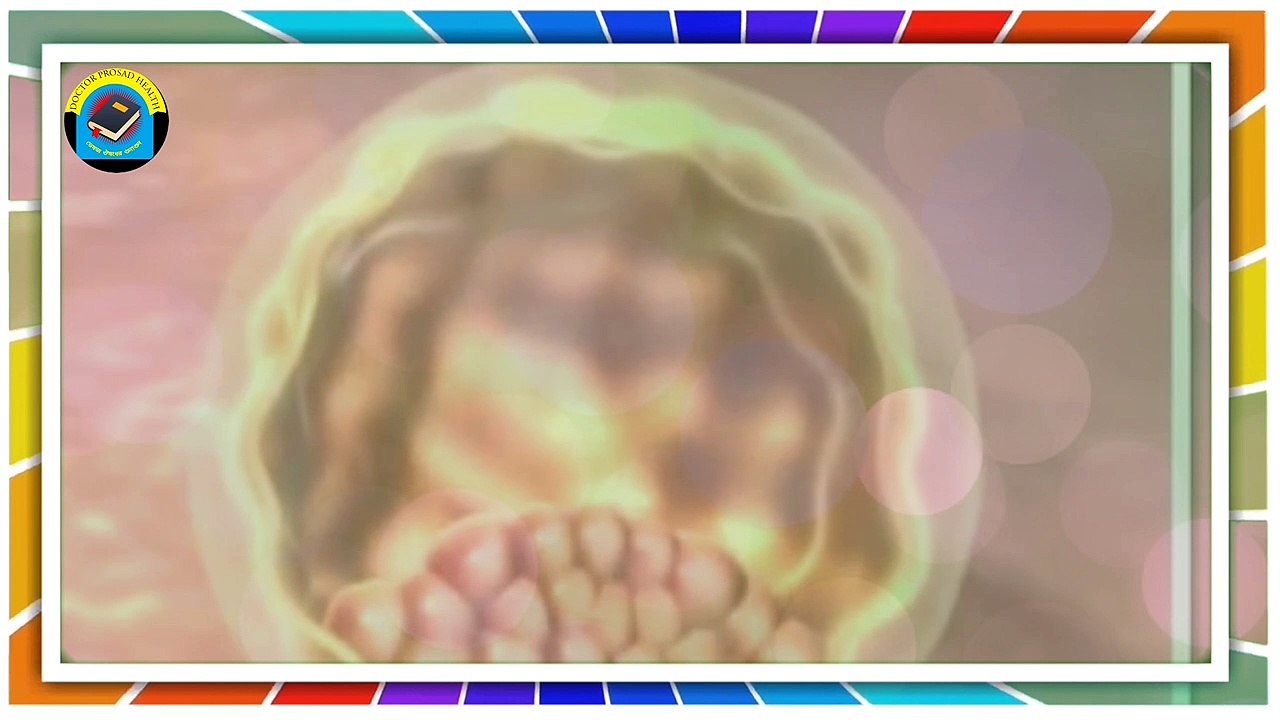 ► Le miracle de la vie (simulation 3D d_une gr