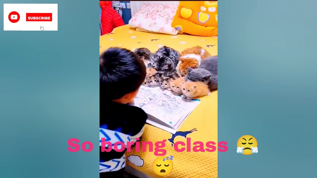 School Life| boring class  | memories of school Life  #schoollife #funny #jokes #comedy #lifereailty #short #reels #statues #viral #inspiresemotions