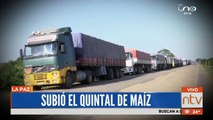 Sube el precio de quintal de maíz en La Paz