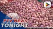 Onion farmers express relief, high hopes on turnaround due to current, insanely high prices that offset losses last year