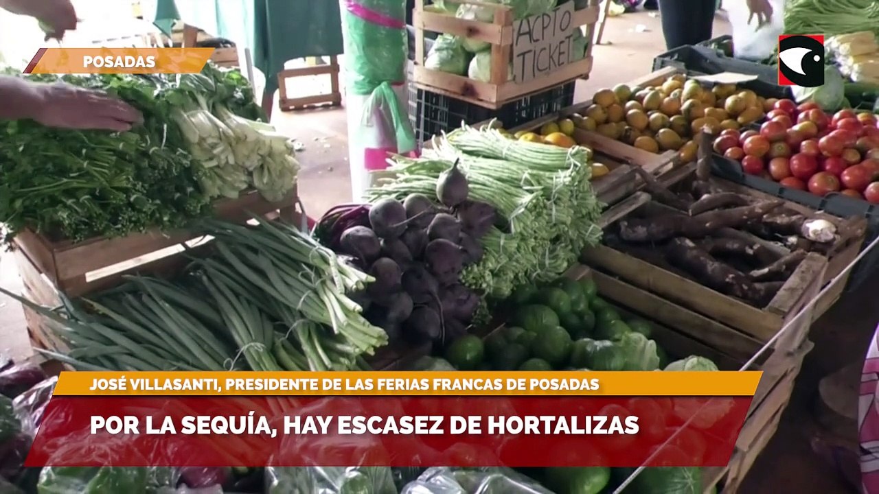 Por la sequía, hay escasez de hortalizas