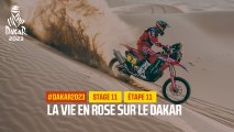 La vie en rose sur le Dakar / Life in pink on the Dakar  - Étape 11 / Stage 11 - #Dakar2023
