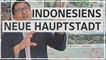 Horror für Umweltschützer: Indonesiens künftige Hauptstadt