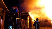 Campolongo Maggiore (VE) - Incendio in un capannone agricolo (12.01.23)