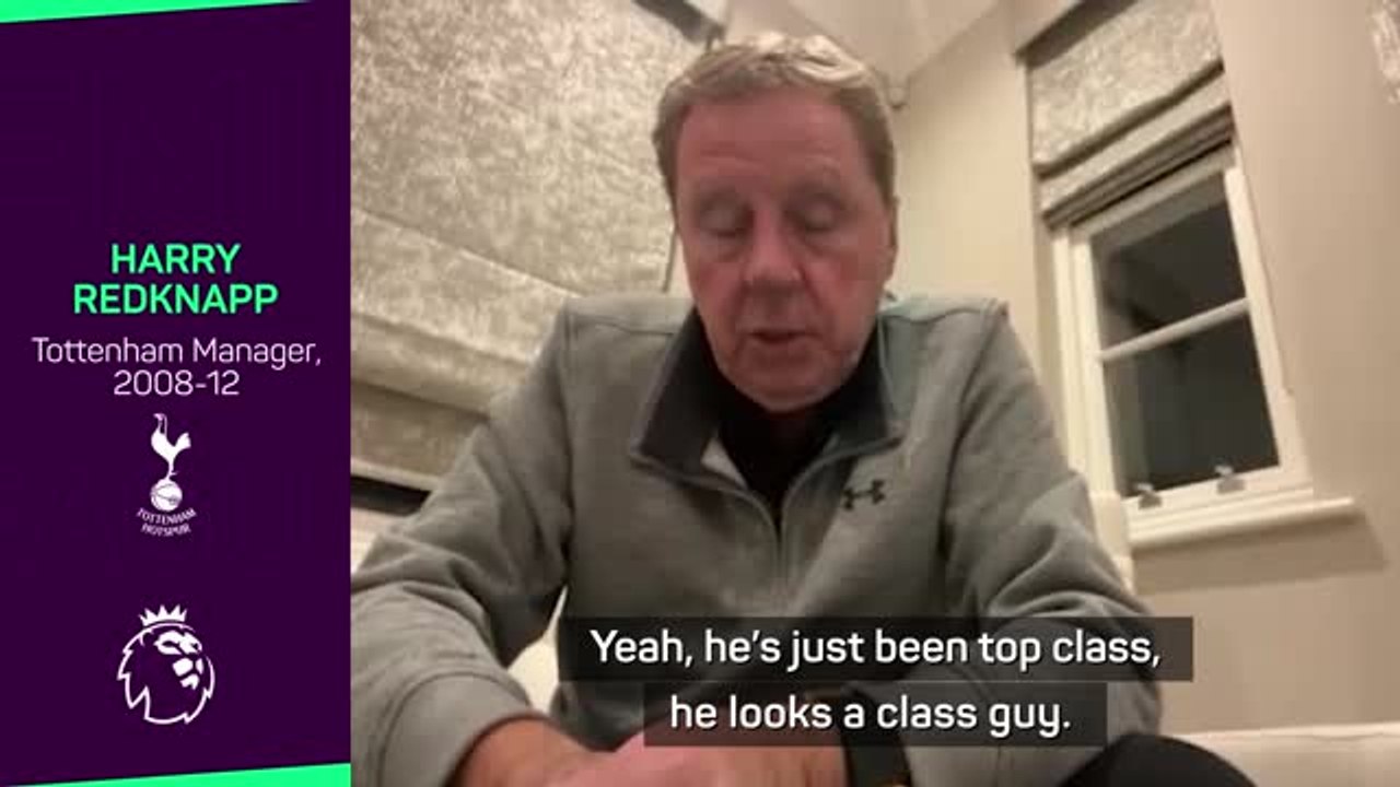 'Top class' Lloris has been 'outstanding' for Spurs - Redknapp