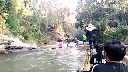 Damn Nature You Scary _ Funny Scary Animal Encounters(360P)