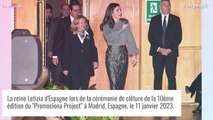 Letizia d'Espagne renversante dans une mini jupe crayon métallisée, apparition remarquée à Madrid