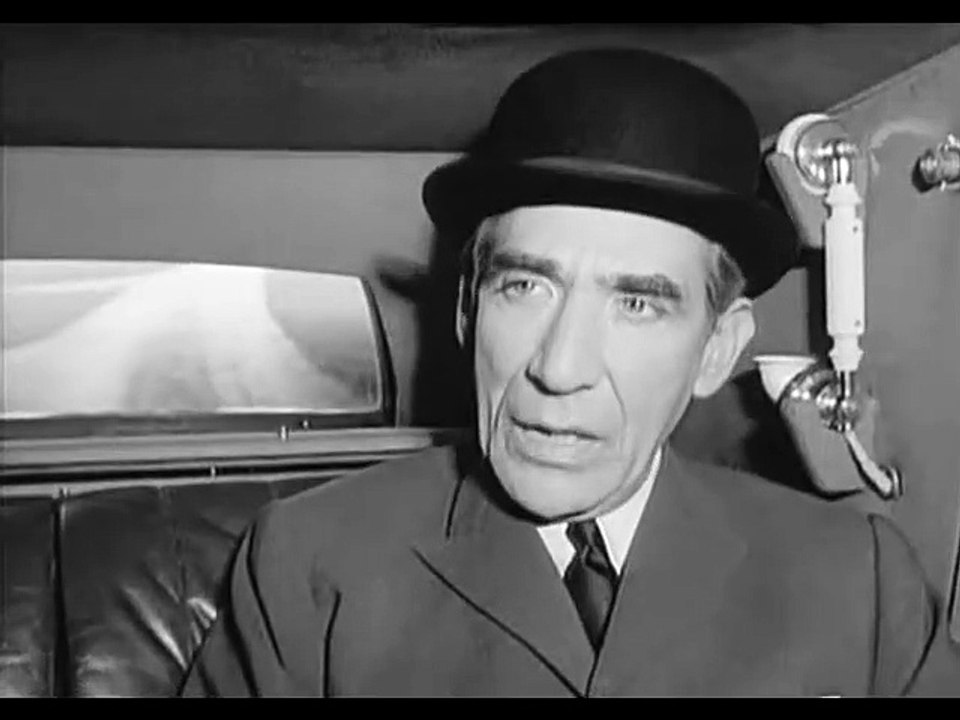 Graf Yoster gibt sich die Ehre  S01E10  - Orchideen für Majella