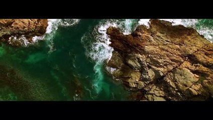 HISTORIA DE LA GASTRONOMIA    COBO  EVOLUCION