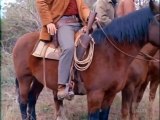 Bonanza - Se4 - Ep33 HD Watch