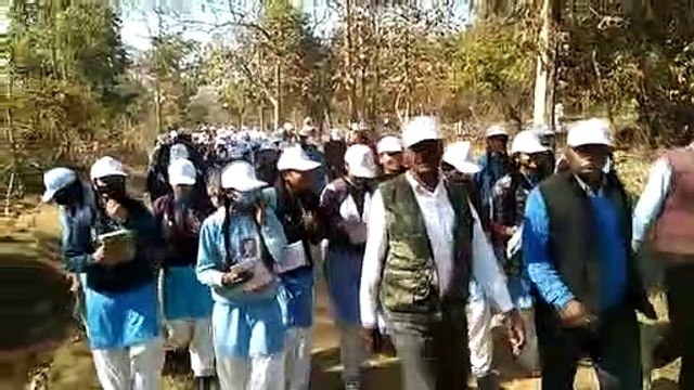 girl students reached the forest and saw wildlife