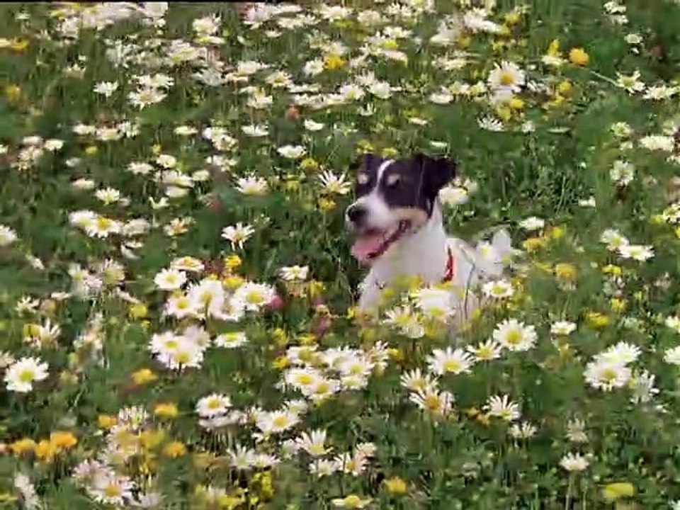 Unser Charly Staffel 11 Folge 7