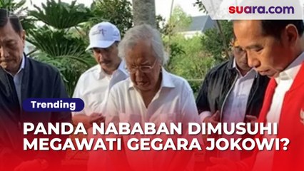 Gegara Jokowi, Panda Nababan Pernah Dimusuhi oleh Megawati: Wah Disingkirkan Gua
