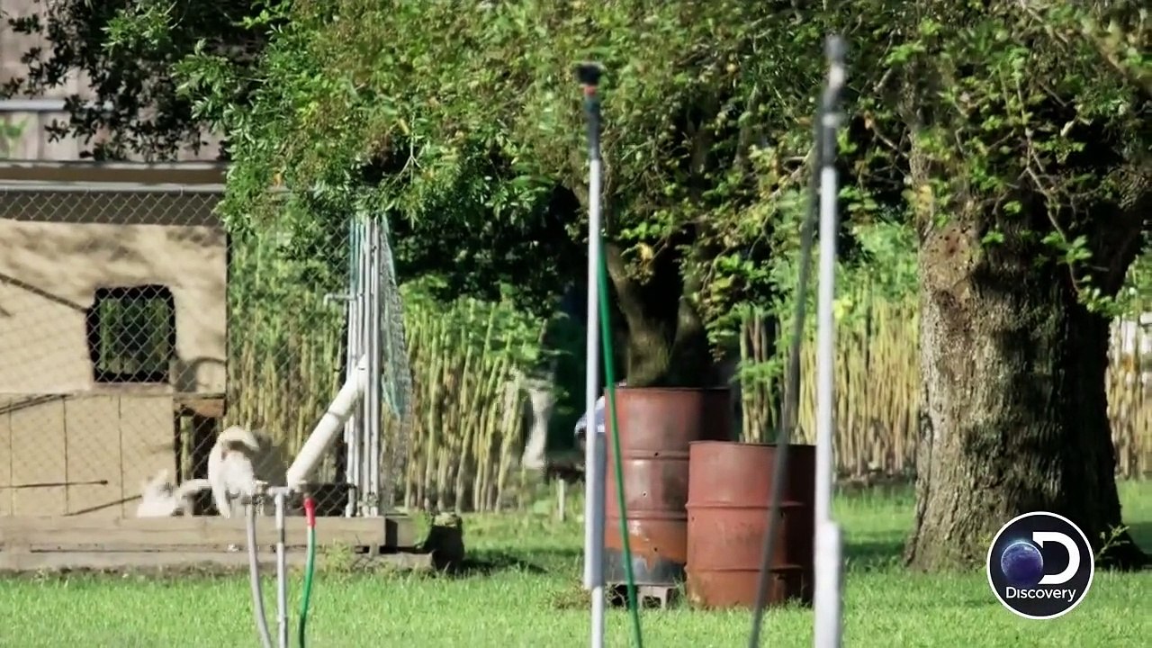 Killing Fields - Se2 - Ep05 - The Raid HD Watch