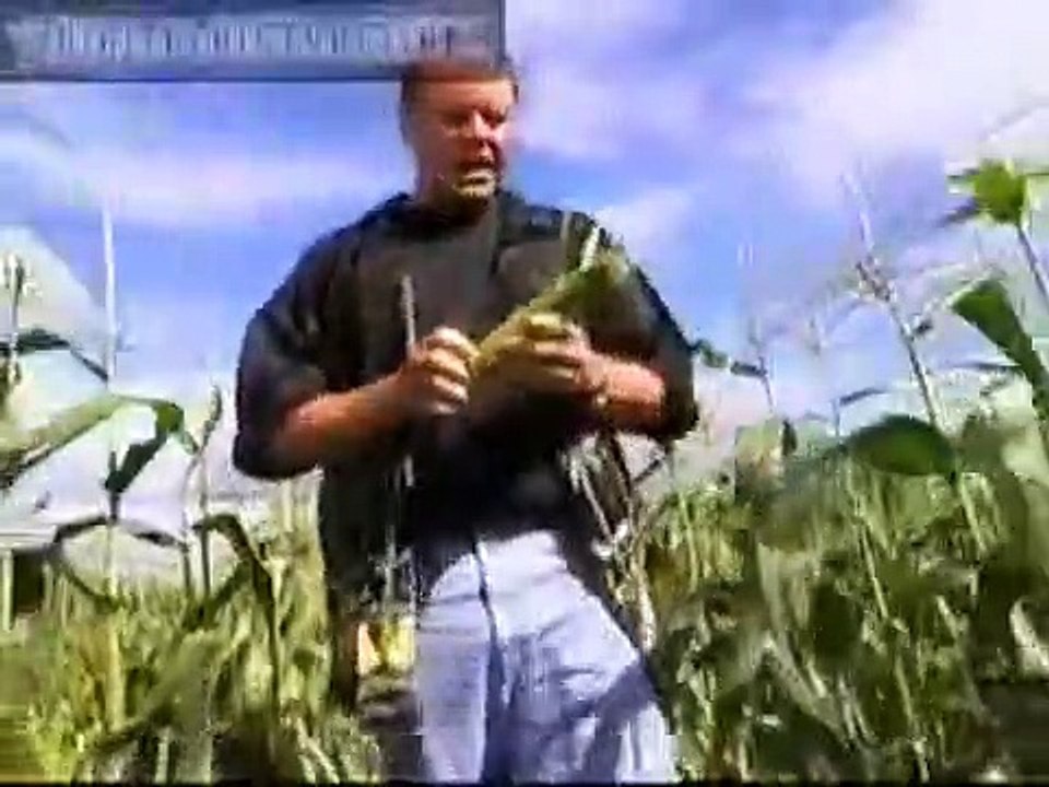 Good Eats - Se2 - Ep14 HD Watch