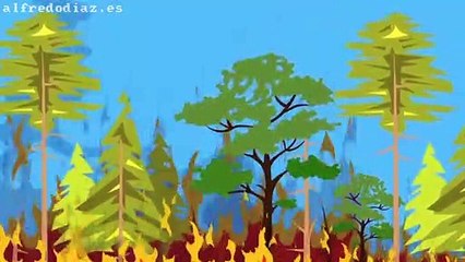 Naturaleza, especies y Molinos