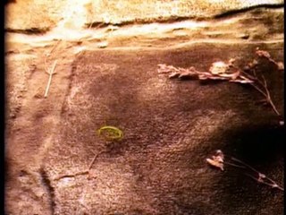 Jim Henson’s The Storyteller  S01E01 - The Soldier And Death