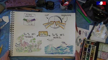 Un nouveau cadre mondial pour préserver la biodiversité