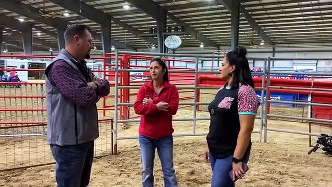 Pig Royalty - Se1 - Ep05 - Trouble With the Tyks HD Watch